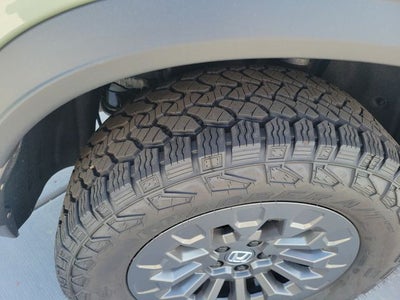 2026 Honda Passport TrailSport